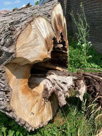 Hout kachelhout tuin decoratie