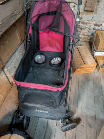 buggy