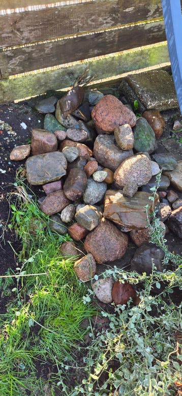 Diverse natuurstenen voor tuin of decoratie