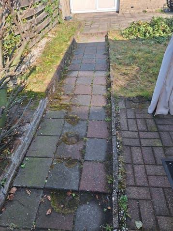 Gratis tuintegels (ca. 40 m²) - Zelf uitbreken en meenemen