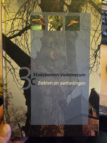 Stadsbomen vademecum 3x(2015)