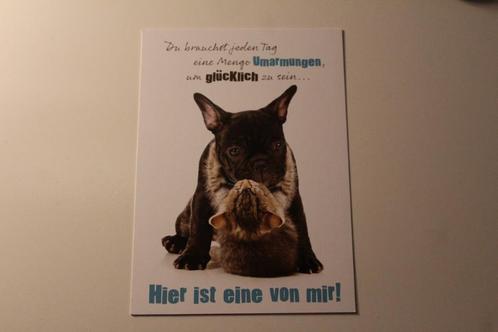 Katten Postkaart - Poes omhelst Franse Bulldog Hond, Germany, Verzamelen, Ansichtkaarten | Dieren, Ongelopen, 1980 tot heden, Hond of Kat