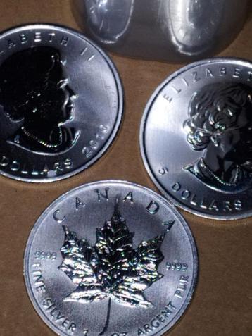 1 oz maple leafs 2010