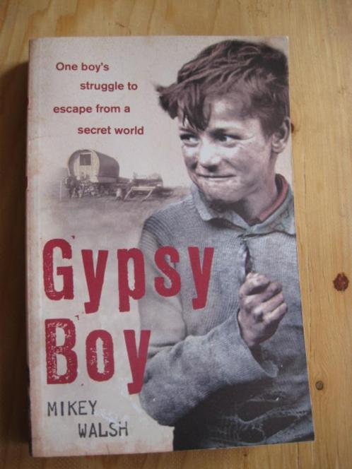 Mikey Walsh: Gypsy Boy (English text), Boeken, Literatuur, Zo goed als nieuw, Nederland, Ophalen of Verzenden
