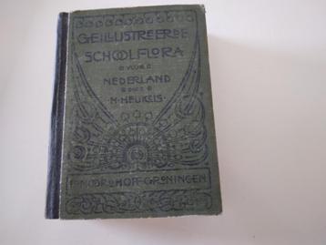 Geïllustreerde Schoolflora voor Nederland  door H.Heukels