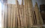 Bonenstokken bamboepalen bamboestokken tonkin plantensteun