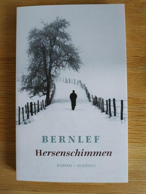 Bernlef - Hersenschimmen, Boeken, Literatuur, Zo goed als nieuw, Ophalen of Verzenden