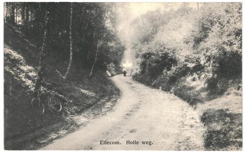 960776	Ellecom	Holle Weg	1934		 Gelopen met postzegel, Verzamelen, Ansichtkaarten | Nederland, Gelopen, Gelderland, 1920 tot 1940