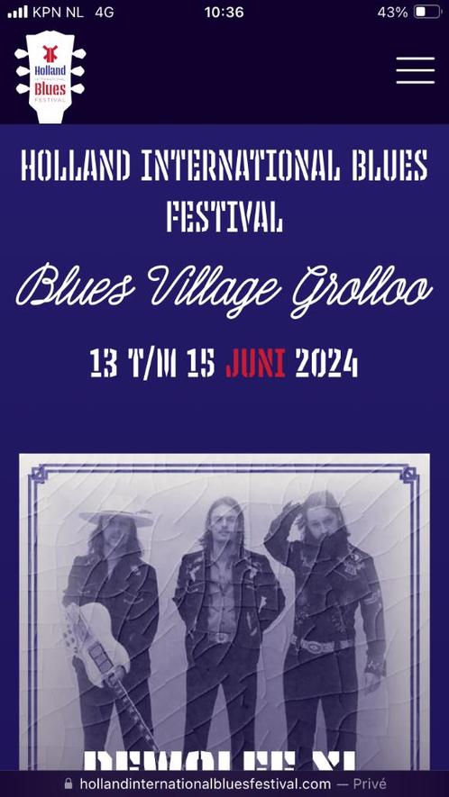 2 x weekend ticket Holland international blues festival, Tickets en Kaartjes, Evenementen en Festivals, Twee personen, Meerdaags