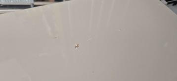 Ikea lade maximera div afmetingen. - afbeelding 11 Ikea lade maximera div afmetingen. - afbeelding 11