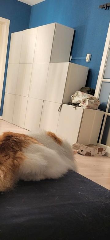 Ikea Besta Kasten - 3x Compleet + Extra - afbeelding 2 Ikea Besta Kasten - 3x Compleet + Extra - afbeelding 2