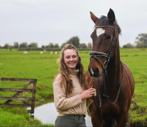 Stalling paard of pony overdag buiten en weidegang Brandwijk, Dieren en Toebehoren, Stalling en Weidegang, Stalling, 1 paard of pony