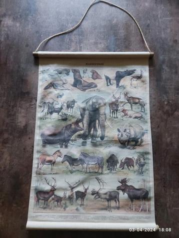 Wandkleed print vintage zoogdieren olifant 