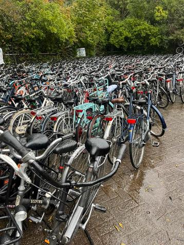 Spoed fietsenmakers gezocht direct aan het werk Rotterdam. 