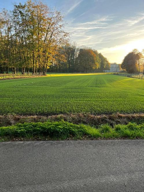 Te Koop Perceel, Huizen en Kamers, Kavels en Percelen, 1500 m² of meer, Verkoop zonder makelaar