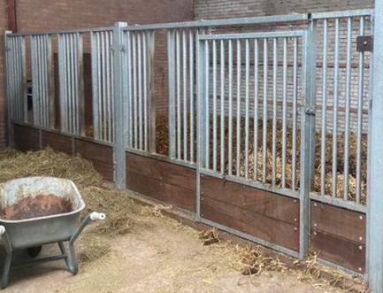 Opfokstal, voorwand paardenbox, Dieren en Toebehoren, Stalling en Weidegang