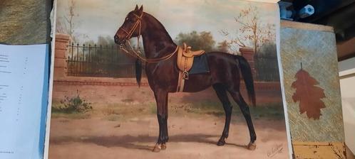 Litho's Paardenrassen, Eerelman, Quadekker, 1898, Antiek en Kunst, Antiek | Boeken en Bijbels, Ophalen of Verzenden