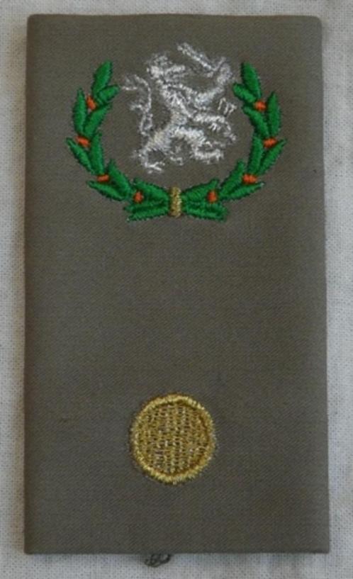 Rang Onderscheiding Regenjas Bataljons Adjudant, KL, va 2000, Verzamelen, Militaria | Algemeen, Landmacht, Overige typen, Nederland