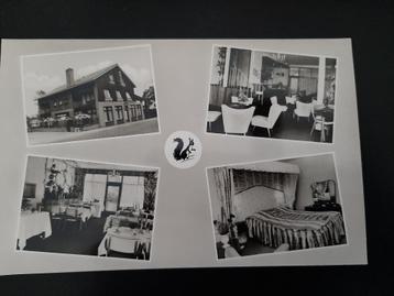 Hotel De Paasberg te Ede, jaren '60, ongelopen, fotokaart