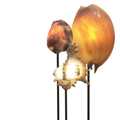 tafellamp gemaakt van een tropische schelp [UNIEK!], Huis en Inrichting, Lampen | Tafellampen, Nieuw, Minder dan 50 cm, Hout, Metaal