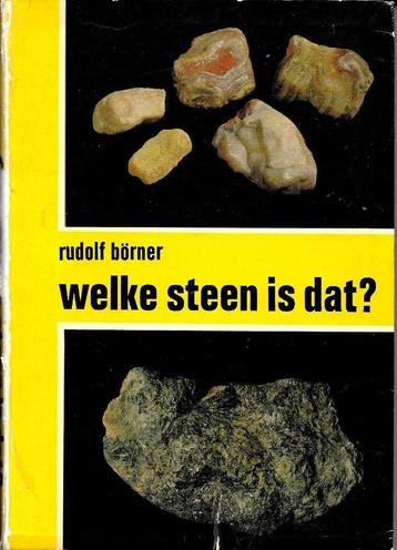 Welke steen is dat? - Rudolf Börner 