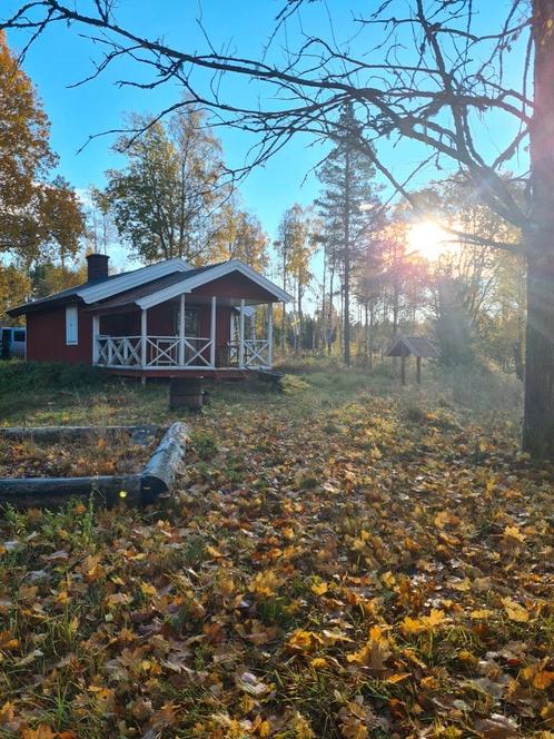 Vakantie Stuga Back to Basic in Zweden, Vakantie, Vakantiehuizen | Zweden, Landelijk, In bos, Eigenaar, Huisdier toegestaan, Open haard