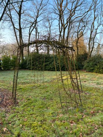 IJzeren prieel met twee volwassen druivenplanten