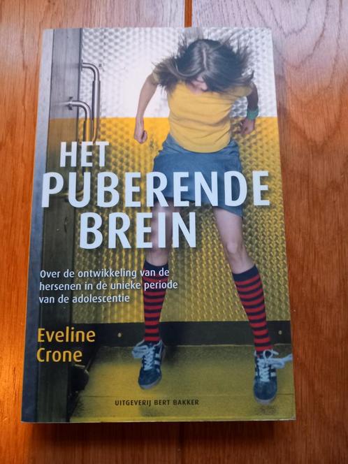 Eveline Crone - Het puberende brein, Boeken, Psychologie, Gelezen, Ophalen of Verzenden