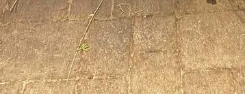 Gratis terrastegels 21m2