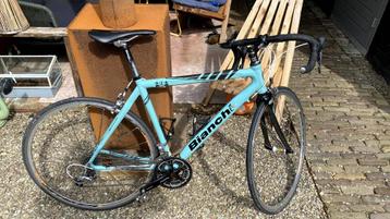 Bianchi 928 carbon