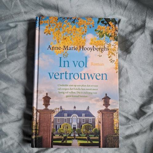 Anne-Marie Hooyberghs - In vol vertrouwen, Boeken, Streekboeken en Streekromans, Ophalen of Verzenden