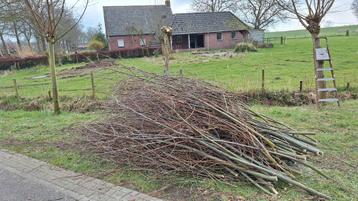 Wilgentakken gratis afhalen