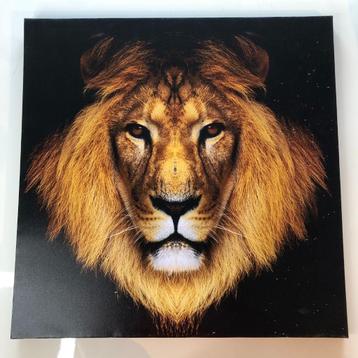  foto op canvas leeuw painting lion 58 x 58 cm 