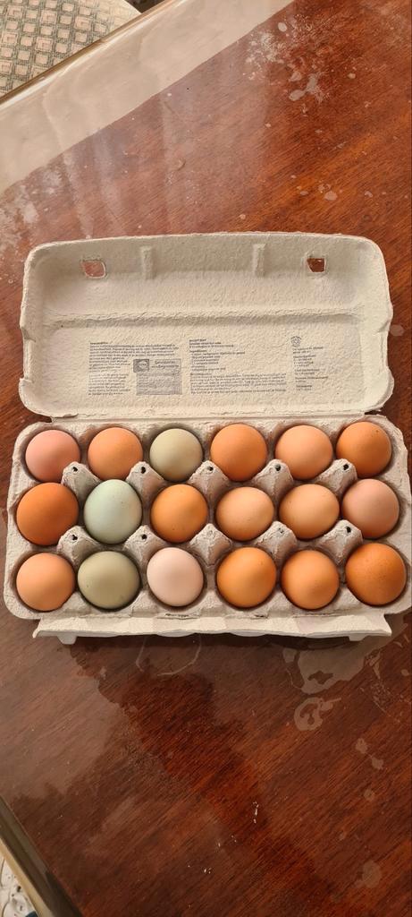 Biologische verse eieren te koop, Dieren en Toebehoren, Pluimvee | Toebehoren, Ophalen of Verzenden