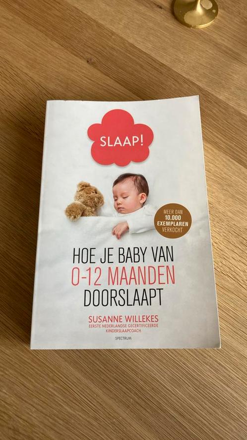 Susanne Willekes - Slaap!, Boeken, Zwangerschap en Opvoeding, Zo goed als nieuw, Opvoeding tot 6 jaar, Ophalen