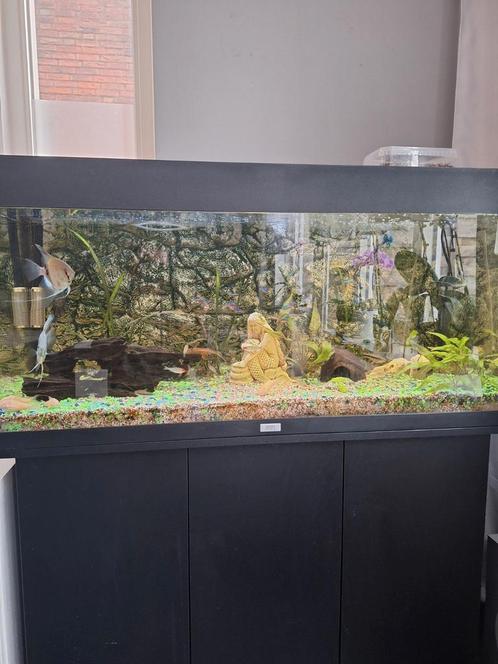 Aquarium Juwel 180 l met kast, Dieren en Toebehoren, Vissen | Aquaria en Toebehoren, Zo goed als nieuw, Leeg aquarium, Ophalen