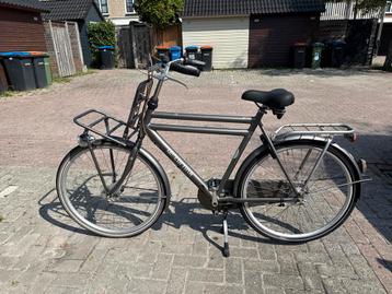 Cortina Herenfiets Maat L
