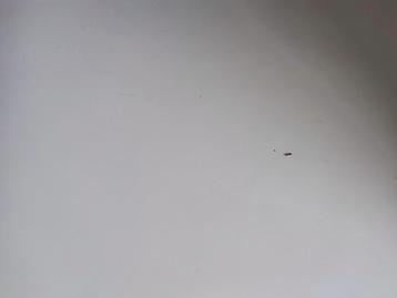 Ikea Besta tv-meubel 180x42x38cm - afbeelding 4 Ikea Besta tv-meubel 180x42x38cm - afbeelding 4