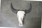 Buffel schedel 4, Western Deco, echte buffelschedel