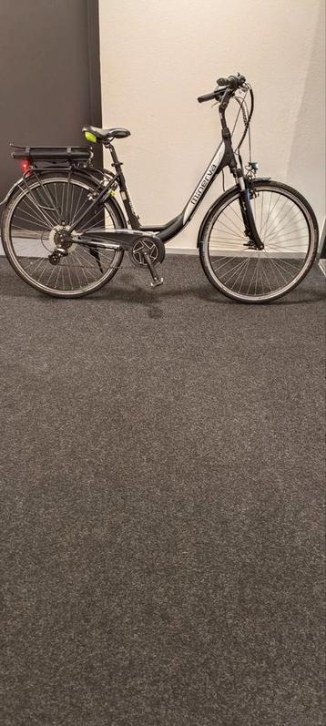 Minerva Estrel 28 inch