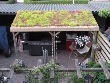 Sedum cassettes en of Sedum matten voor dak en of tuin 