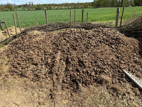 Gratis paardenmest/compost, Tuin en Terras, Aarde en Mest, Compost, Ophalen