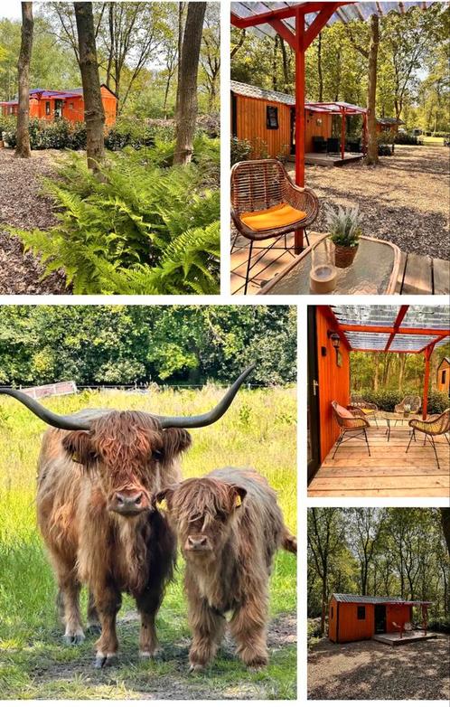 Weekendje Tiny House Zuidwolde, Vakantie, Campings