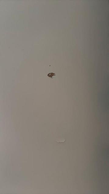 IKEA Billy Boekenkast met Deur (moet weg) - afbeelding 4 IKEA Billy Boekenkast met Deur (moet weg) - afbeelding 4