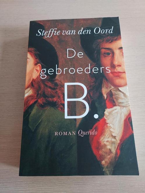 Steffie van den Oord - De gebroeders B., Boeken, Historische romans, Zo goed als nieuw, Ophalen