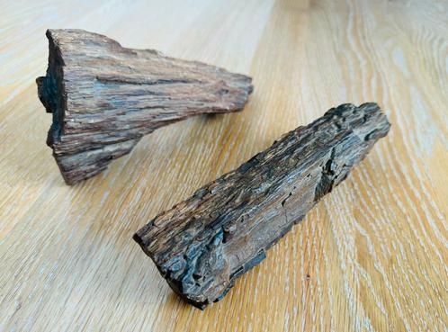 Fossiel hout, versteend hout (21,5 cm, kwarts), Verzamelen, Mineralen en Fossielen, Overige typen, Ophalen of Verzenden