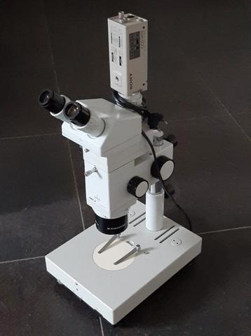 Stereo microscoop Askania géén Zeiss 