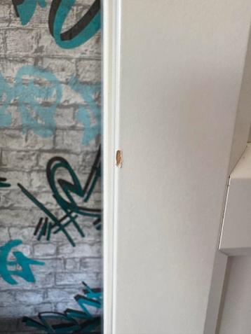IKEA Billy Boekenkast met Deur (moet weg) - afbeelding 3 IKEA Billy Boekenkast met Deur (moet weg) - afbeelding 3