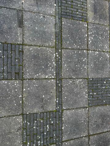 Gratis ophalen partij grindtegels en waaltjes - 47m2