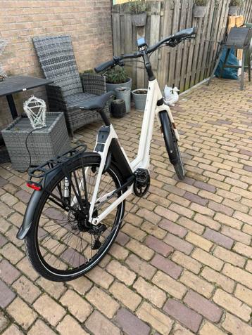 Te koop gloednieuwe koga vectro maat m(53)